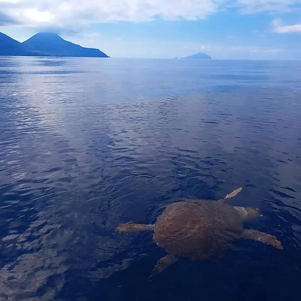 "Appartamento Del Mare Gliaca" Con Vista Isole Eolie,Ampia Terrazza,Wifi E Parcheggio Privato Gratuito Piraino Exterior foto